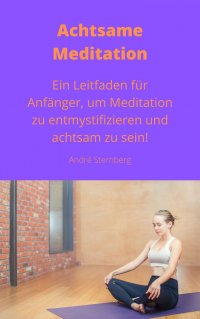 Achtsame Meditation - Ein Leitfaden für Anfänger, um Meditation zu entmystifizieren und achtsam zu sein! - Andre Sternberg