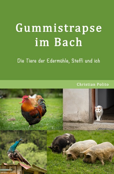 'Cover von Gummistrapse im Bach'-Cover