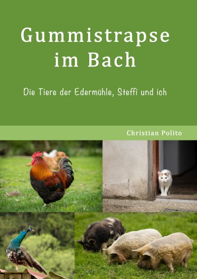 'Gummistrapse im Bach'-Cover
