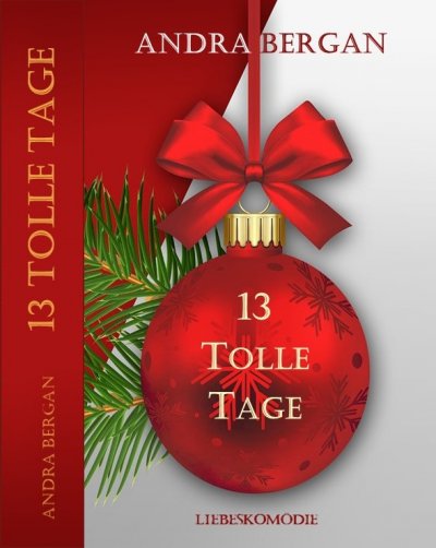 '13 tolle Tage'-Cover