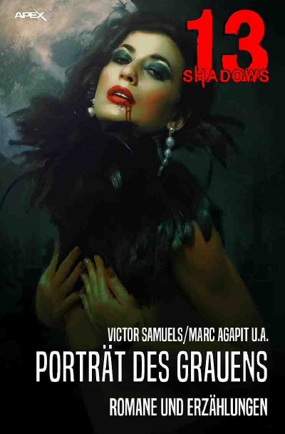 '13 SHADOWS: PORTRÄT DES GRAUENS'-Cover