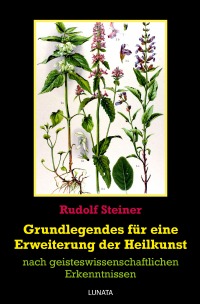 Grundlegendes zur Erweiterung der Heilkunst - nach geisteswissenschaftlichen Erkenntnissen - Rudolf Steiner