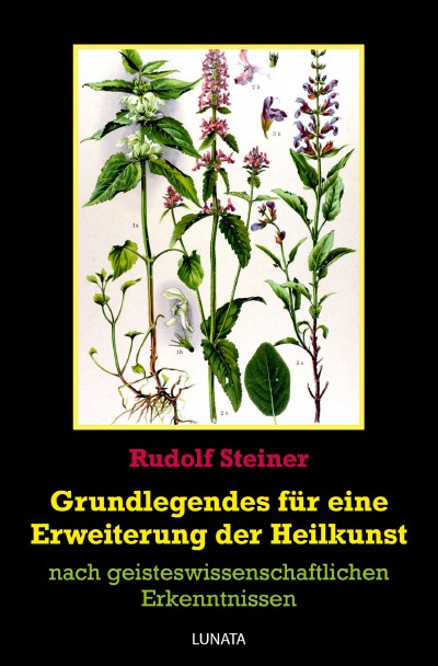 'Cover von Grundlegendes zur Erweiterung der Heilkunst'-Cover