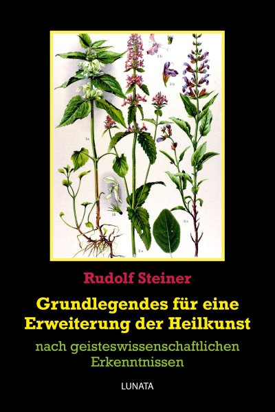 'Cover von Grundlegendes zur Erweiterung der Heilkunst'-Cover