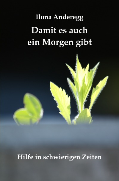 'Cover von Damit es auch ein Morgen gibt'-Cover