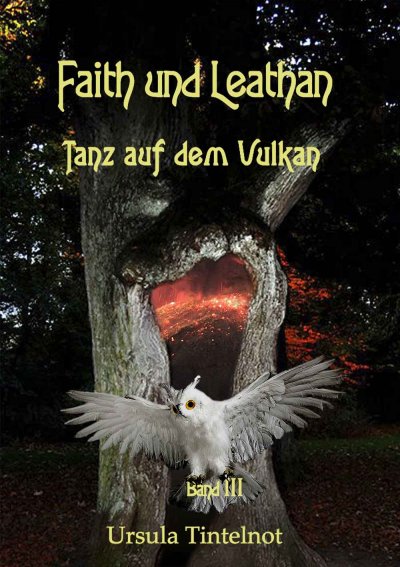 'Cover von Faith und Leathan'-Cover