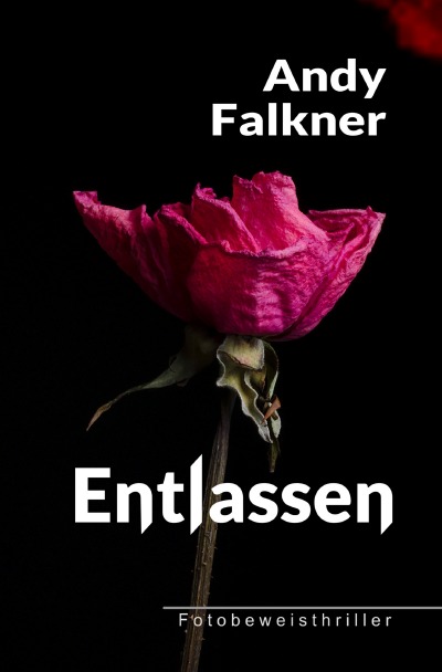 'Cover von Entlassen (Farbedition)'-Cover