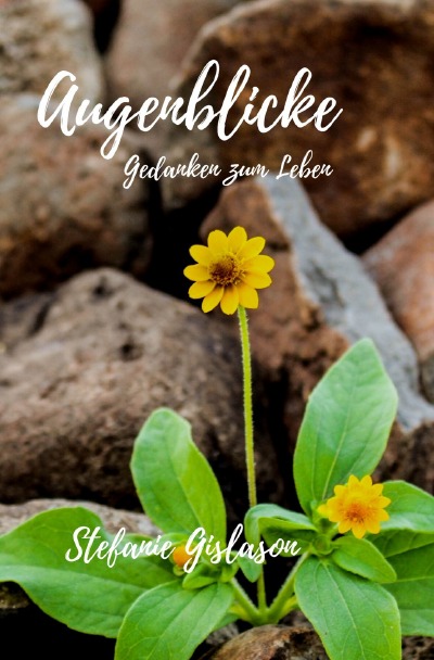 'Cover von Augenblicke'-Cover