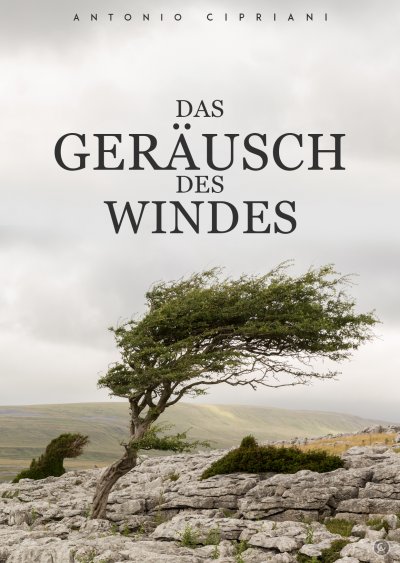 'Das Geräusch des Windes'-Cover