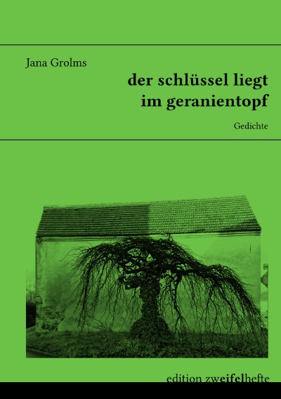 'Cover von der schlüssel liegt im geranientopf'-Cover