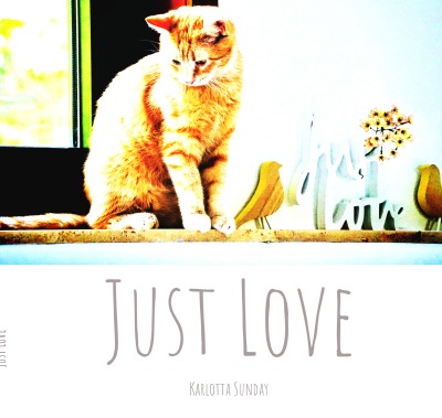 'Just Love'-Cover
