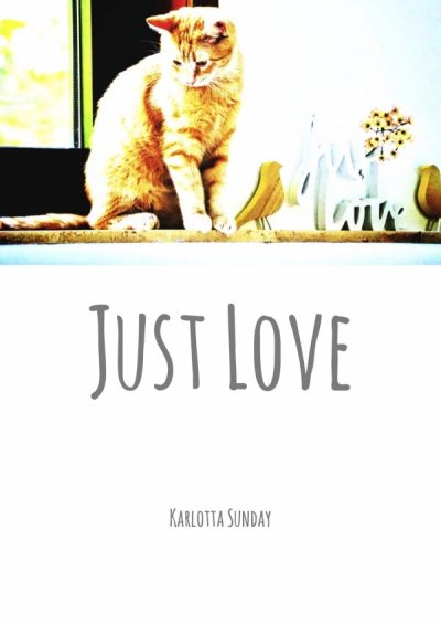 'Just Love'-Cover