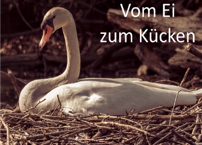 'Cover von Vom Kücken zum EI'-Cover