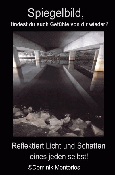 'Cover von Spiegelbild'-Cover