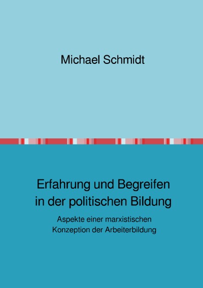 'Cover von Erfahrung und Begreifen in der politischen Bildung'-Cover